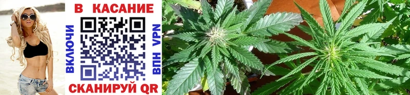 Виды наркотиков купить Иваново АМФ Бошки Шишки Мефедрон ГАШ